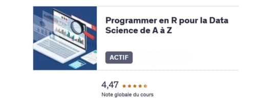 Visuel de la formation R pour la Data Science