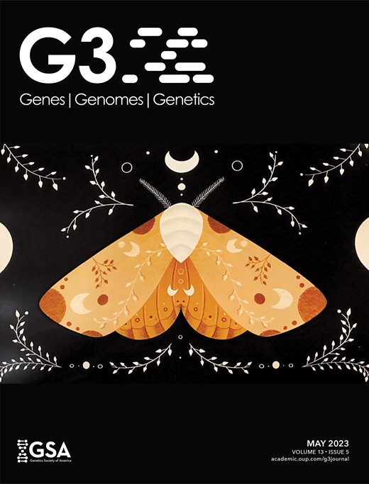m g3journal 13 5cover