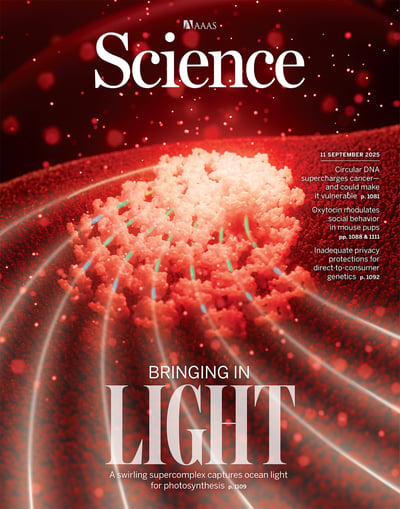 science.2025.389.issue 6765.largecover